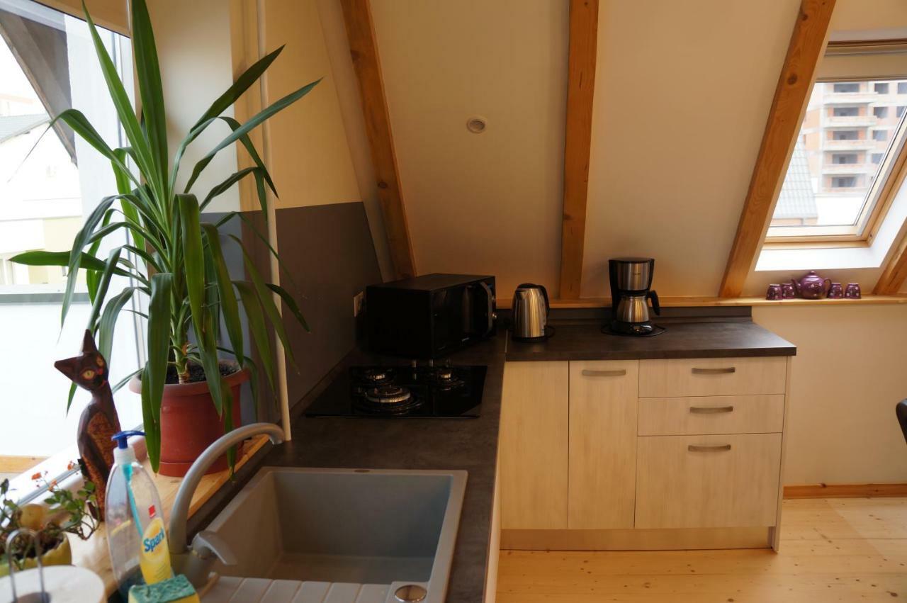 Leisure Apartmens * Brasov
